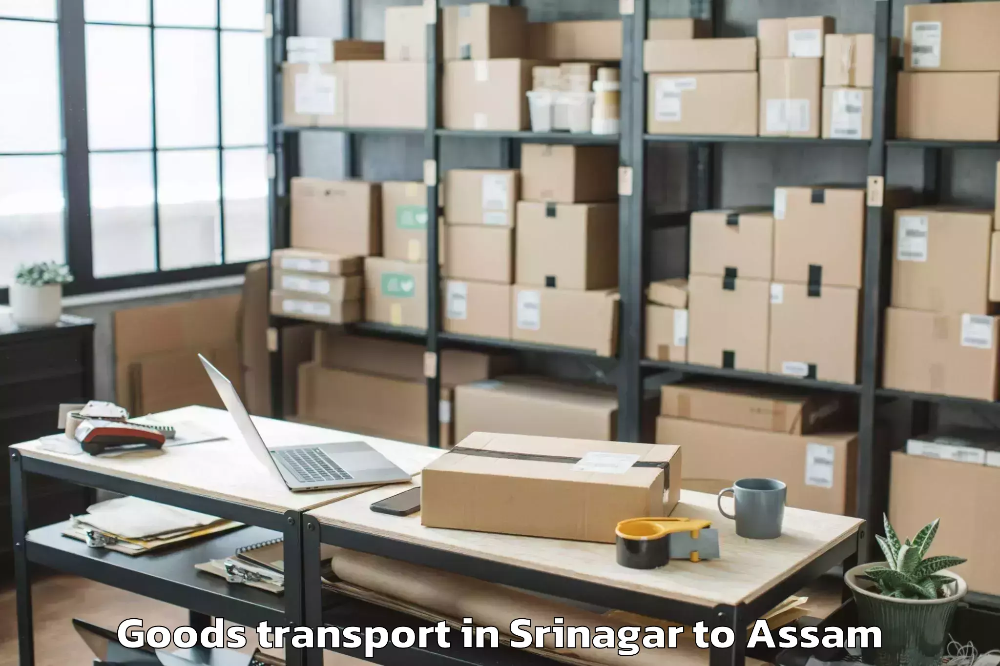 Book Srinagar to Patharighat Goods Transport Online